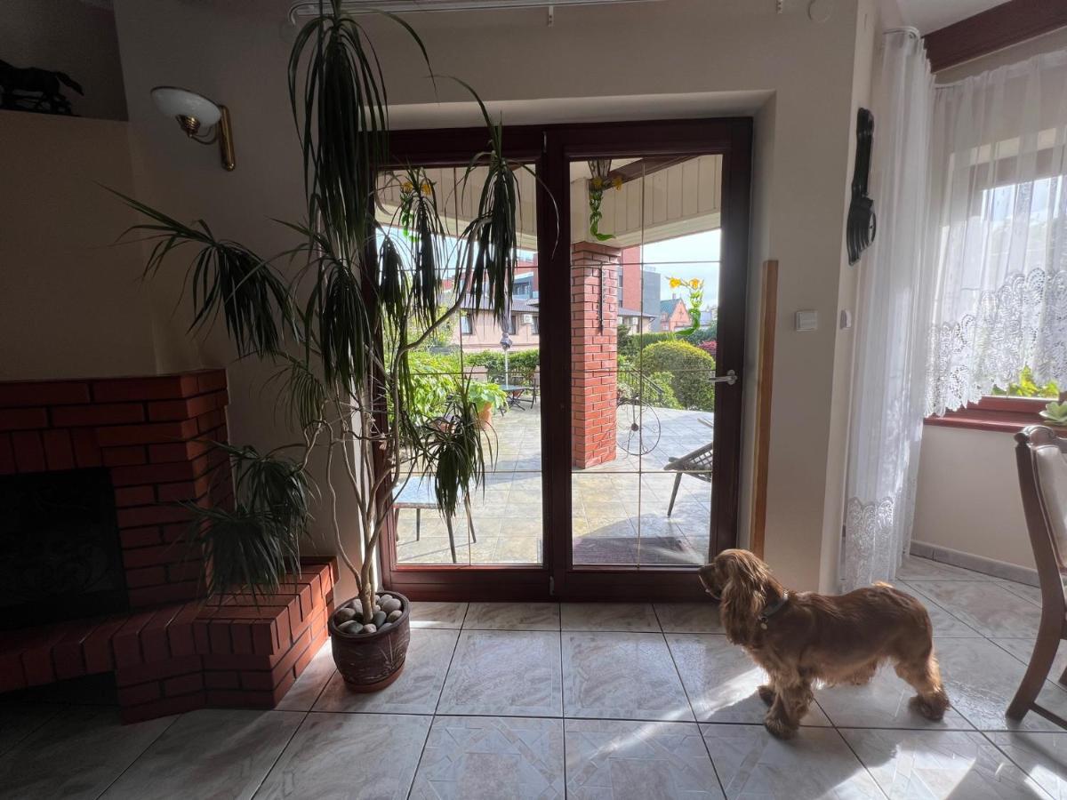 Willa Garden 2 Z Pieknym Ogrodem I Tarasem ウストロニエ・モルスキエ エクステリア 写真